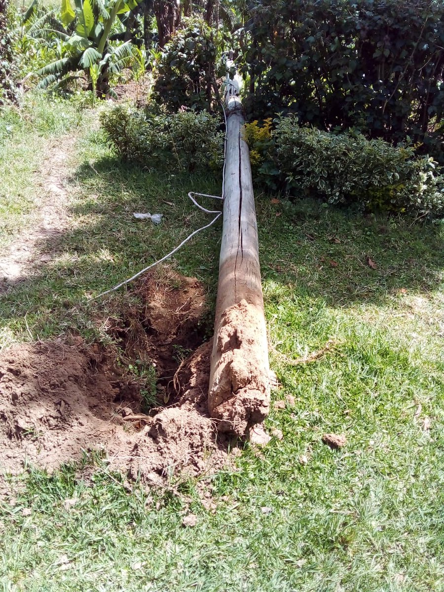 skhasiani1's tweet photo. @KenyaPower I reported collapsed live power lines 2weeks ago on my property. Meter no. 30296560. Kakamega, Ivakale sub location. Nothing has been done. Very dangerous and unprofessional despite granting wayleave. https://t.co/T4wU9Nawr9