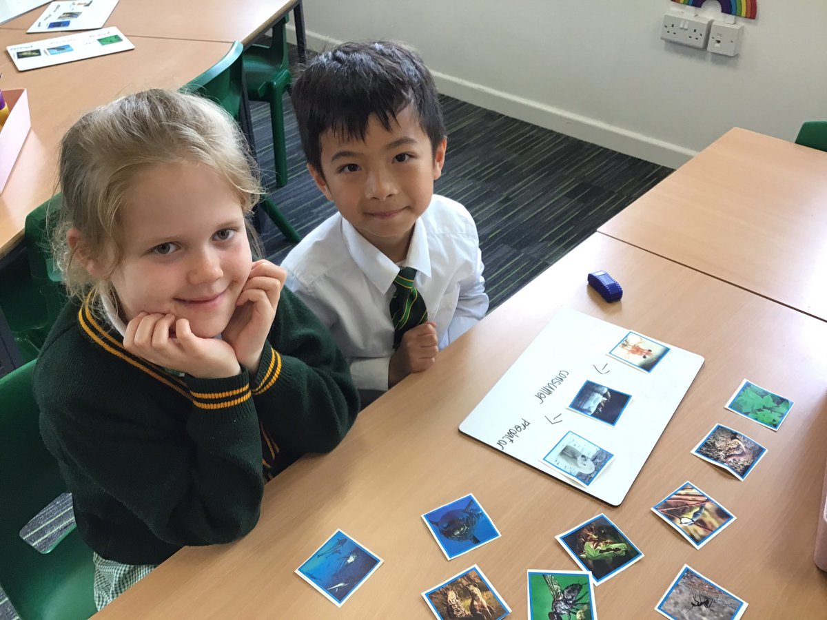 laceygreenpa's tweet image. Year 2 have been learning about food chains in Science 🌱➡️🐇➡️🦊 #LGPAScience