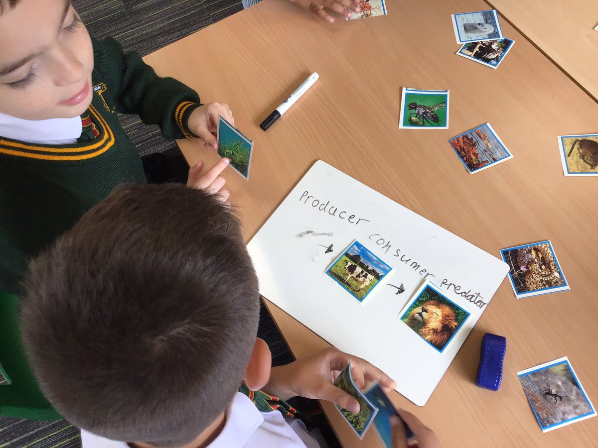 laceygreenpa's tweet image. Year 2 have been learning about food chains in Science 🌱➡️🐇➡️🦊 #LGPAScience