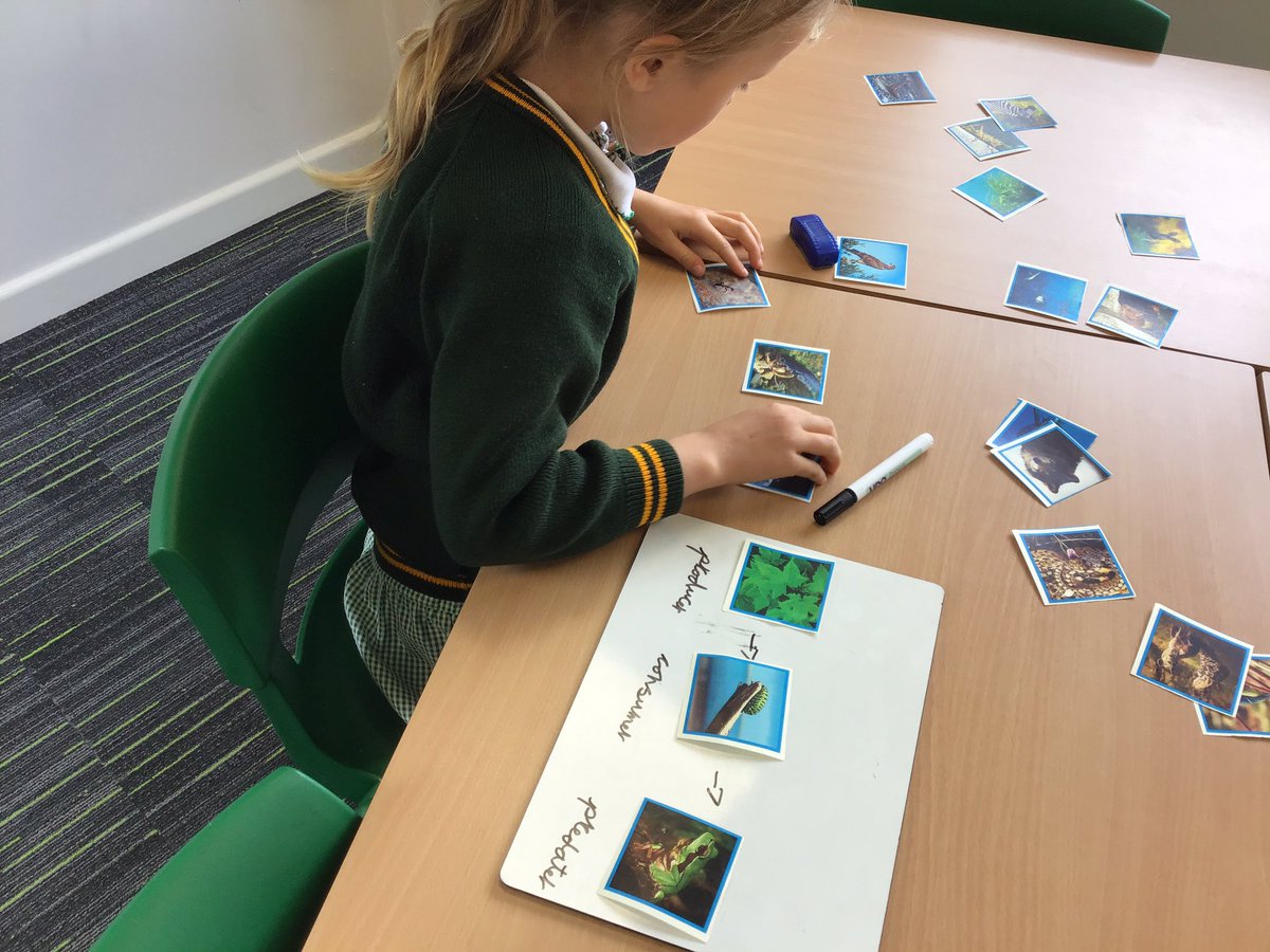 laceygreenpa's tweet image. Year 2 have been learning about food chains in Science 🌱➡️🐇➡️🦊 #LGPAScience