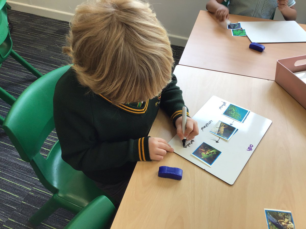 laceygreenpa's tweet image. Year 2 have been learning about food chains in Science 🌱➡️🐇➡️🦊 #LGPAScience