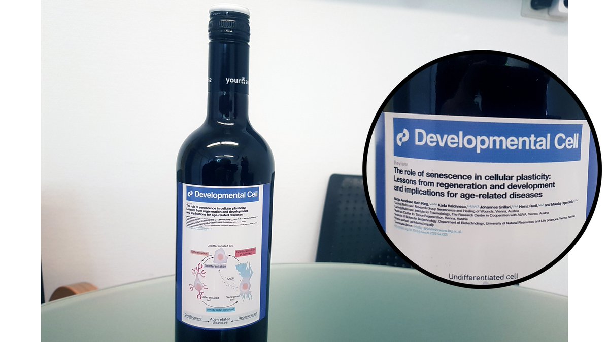 LBG Research Group: Senescence & Healing of Wounds tweet media