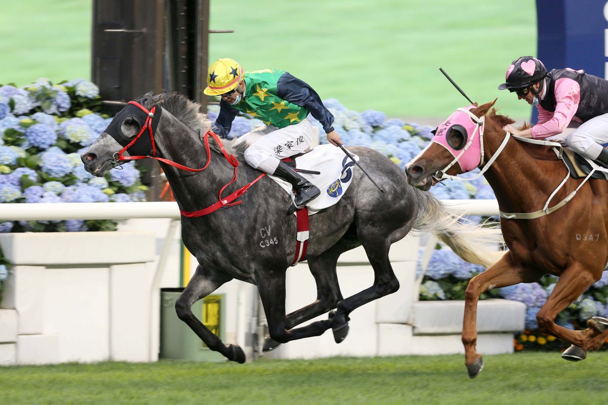 Lor takes aim at Champions & Chater Cup with Reliable Team. #HKracing @SchusterDeclan writes. Read here 👉 racingnews.hkjc.com/english/2022/0…