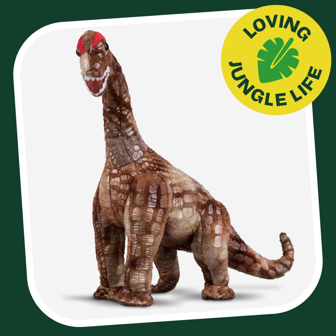 LivingNatureToy's tweet photo. It is #NationalVegetarianWeek🥬🥦🥑 Believe it or not the #Stegosaurus and #Brachiosaurus were #herbivores so they only ate plants, meaning they were actually #Vegan! If your little one loves #adventure and #dinosaurs these two would be the perfect additions🦖 https://t.co/qf6u6WHEOg