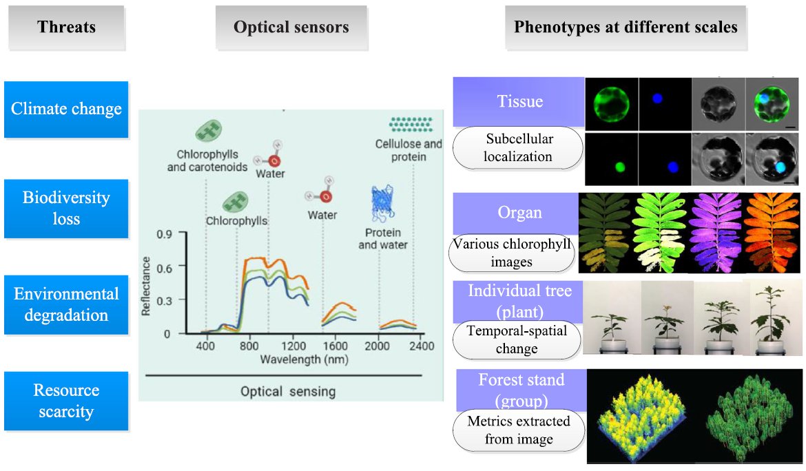KGFLD_Prague's tweet photo. We indeed believe that efficient phenotyping has the potential to spark a new Green Revolution. More in the latest review published in Annals of Forest Science. https://t.co/4VNECietMf https://t.co/hIOFNlXmdC