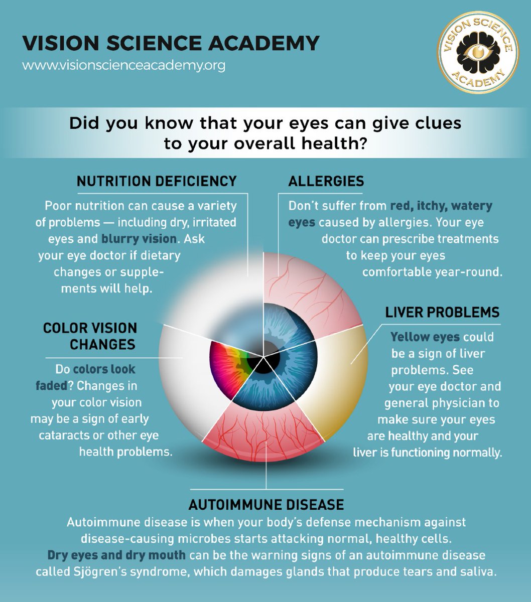 science_vision's tweet image. Thorough ocular examination can tell a lot about overall health!

For useful information, stay connected with Vision Science Academy.

Join here bit.ly/3MqSCd2

#eyecare #eyedisease #systemicdisease #health #science #optometry #ophthalmology #visionscienceacademy #vision