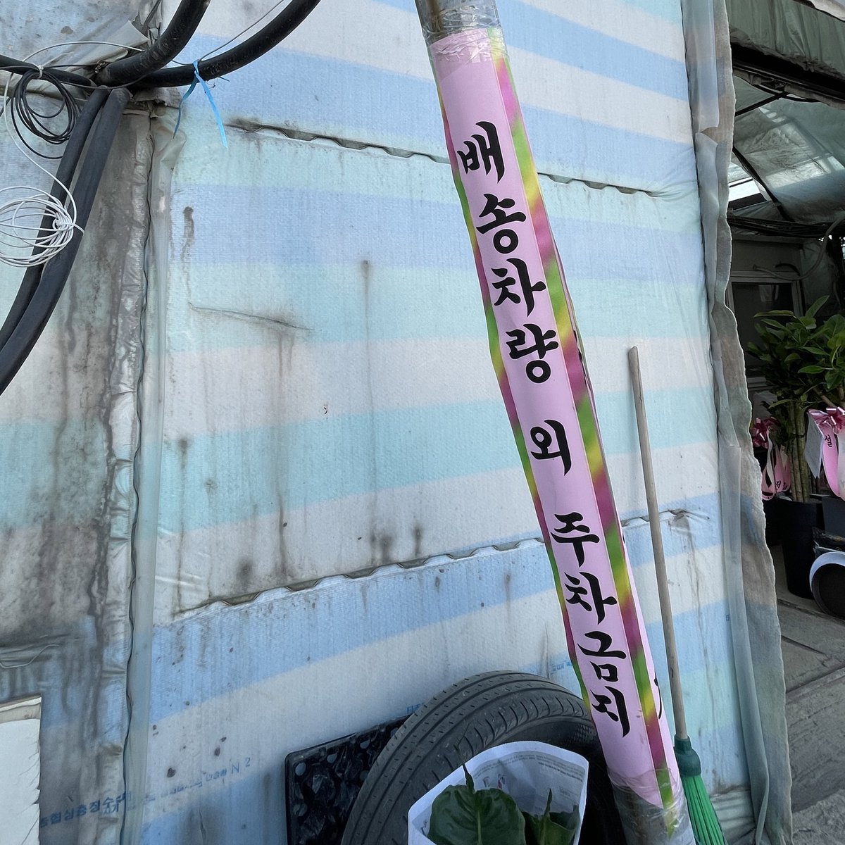nap717nap's tweet photo. 화훼단지에서 리본이란… https://t.co/fPdgdNl3vC