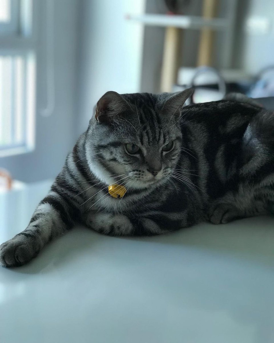 jaojulypics's tweet photo. ขอจูกินมั่งงับ 🥱💤 

#JaoJuly #NuNew https://t.co/fm2cM5kyJo
