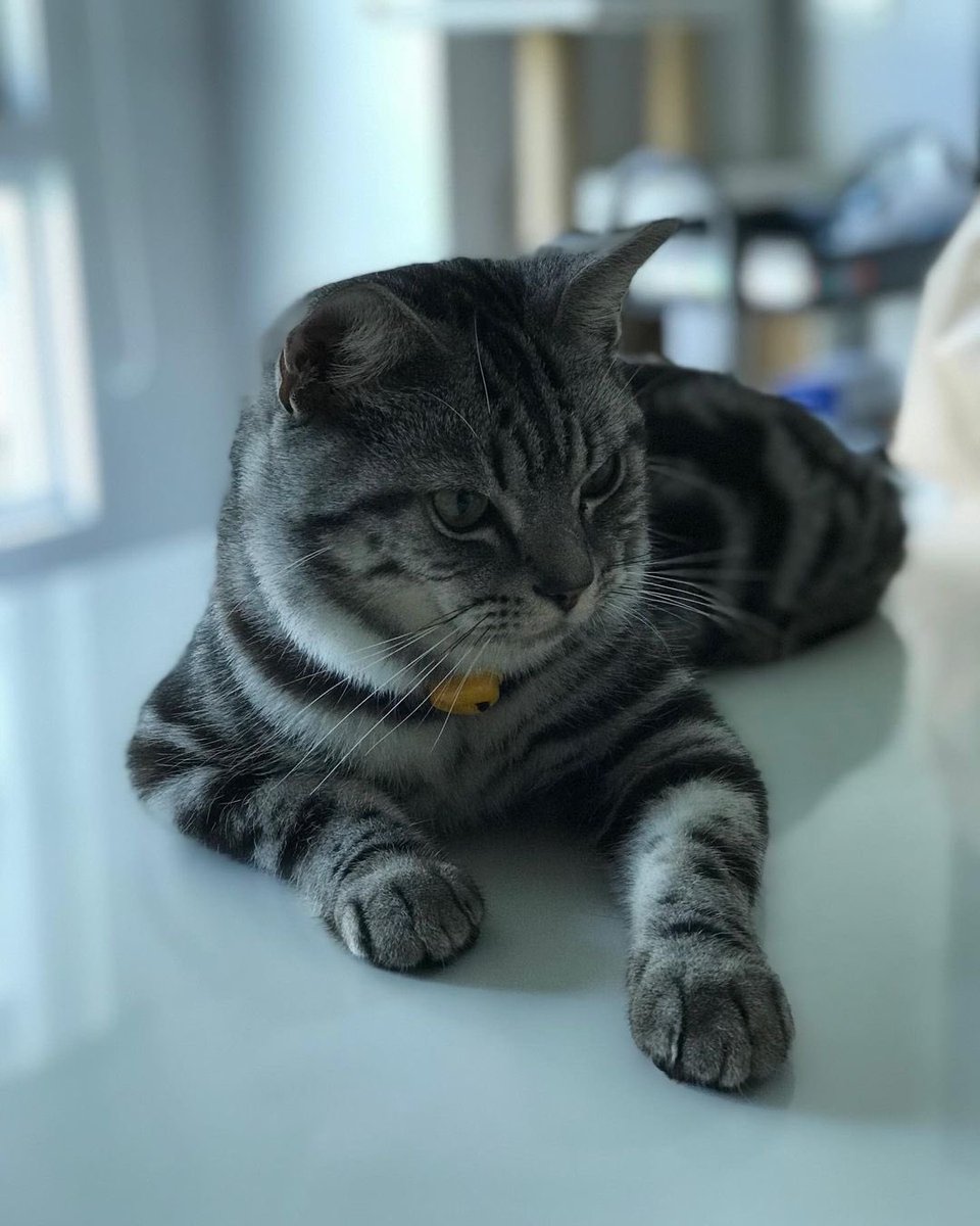 jaojulypics's tweet photo. ขอจูกินมั่งงับ 🥱💤 

#JaoJuly #NuNew https://t.co/fm2cM5kyJo
