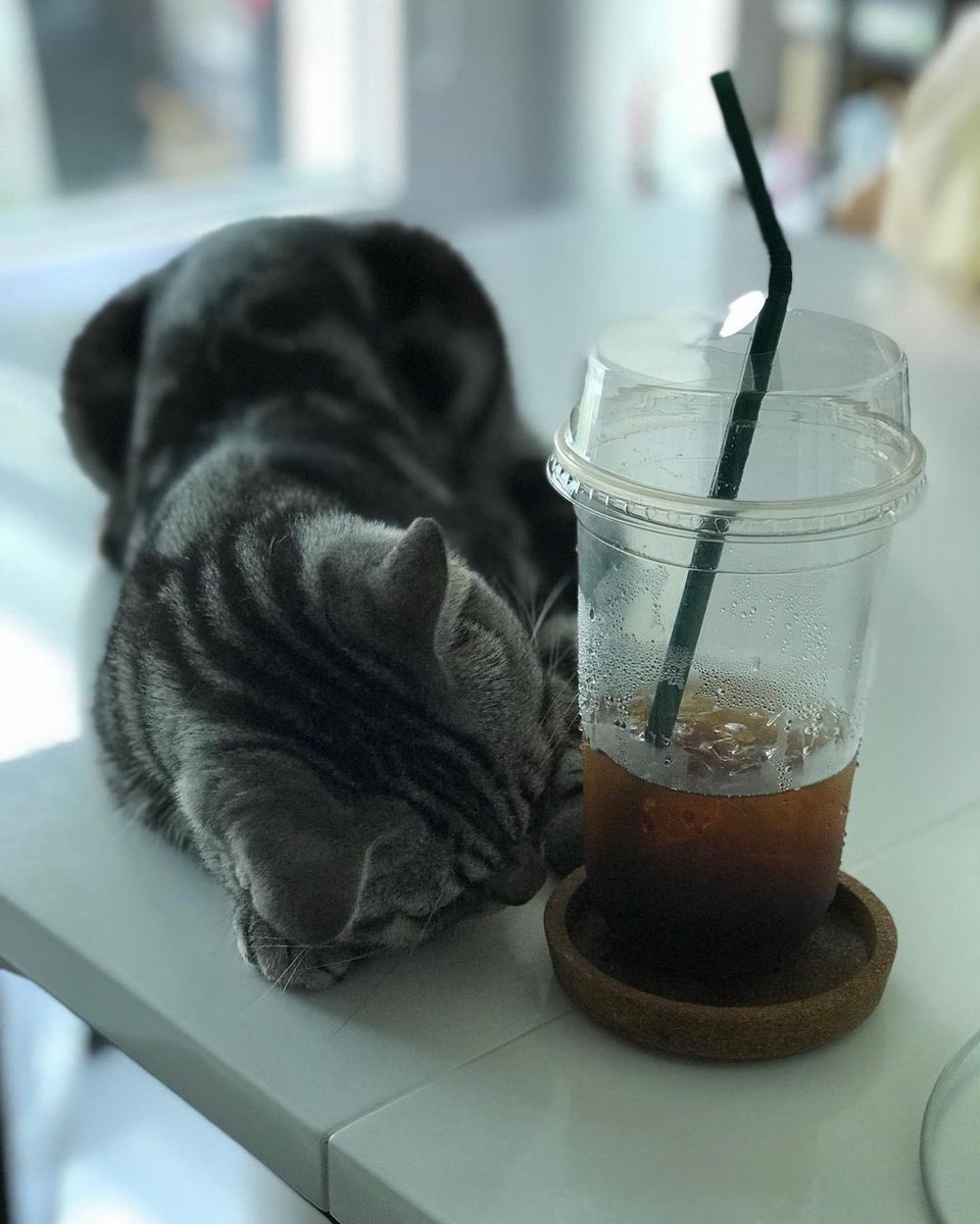 jaojulypics's tweet photo. ขอจูกินมั่งงับ 🥱💤 

#JaoJuly #NuNew https://t.co/fm2cM5kyJo