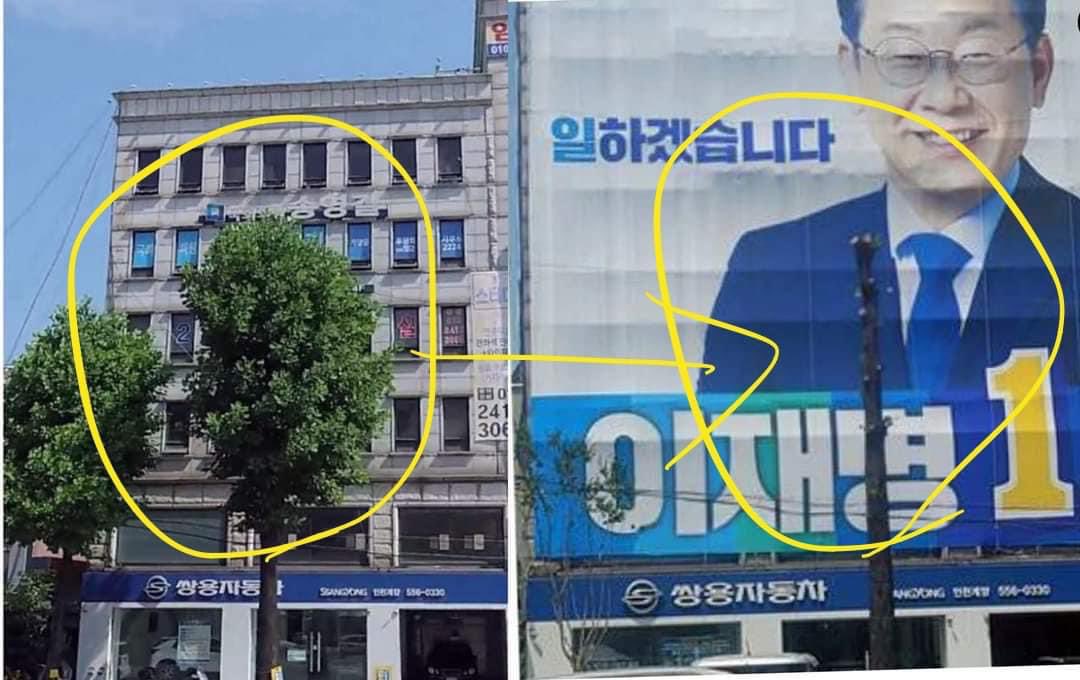 일한다더니 가지치기 열심히 했어?