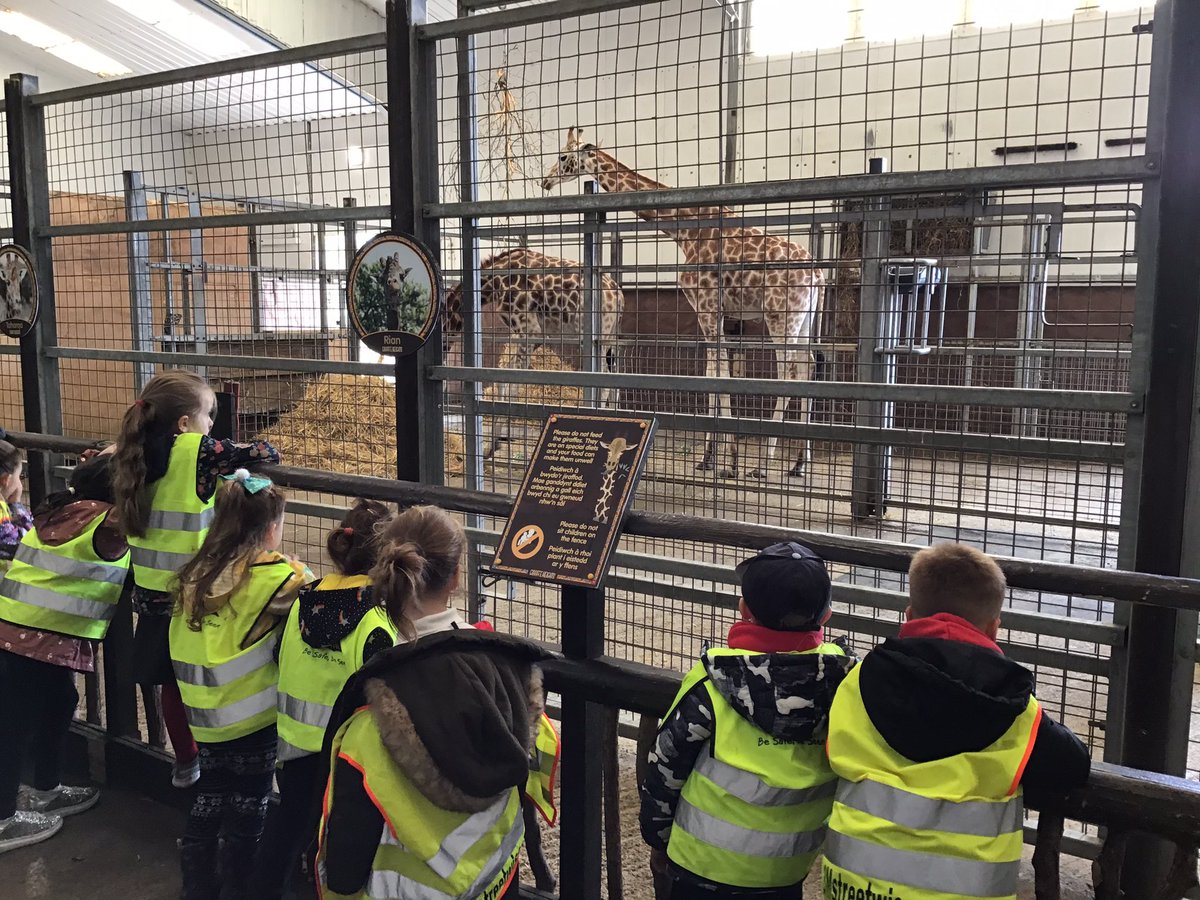 Penclawdd's tweet photo. #pencwhales Reception/Year 1 are at Folly Farm ! #pencfp #pencr1 #pencoutdoors @FollyFarmWales https://t.co/WfYrYFww6R