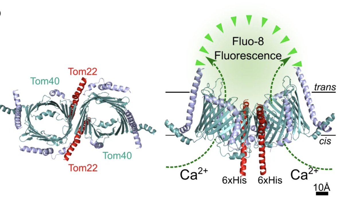 Sebastian Leptihn tweet media