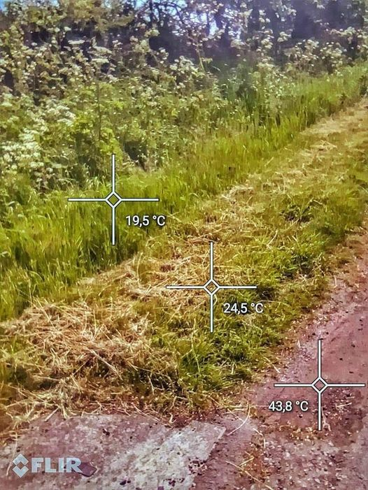 "Une herbe non coupée maintien le sol à 19.5°C
Une herbe coupée à 10 cm maintien la température du sol à 24.5°C
Un sol nu en plein été monte à plus de 40°C
Il est important de visibiliser ces connaissances"