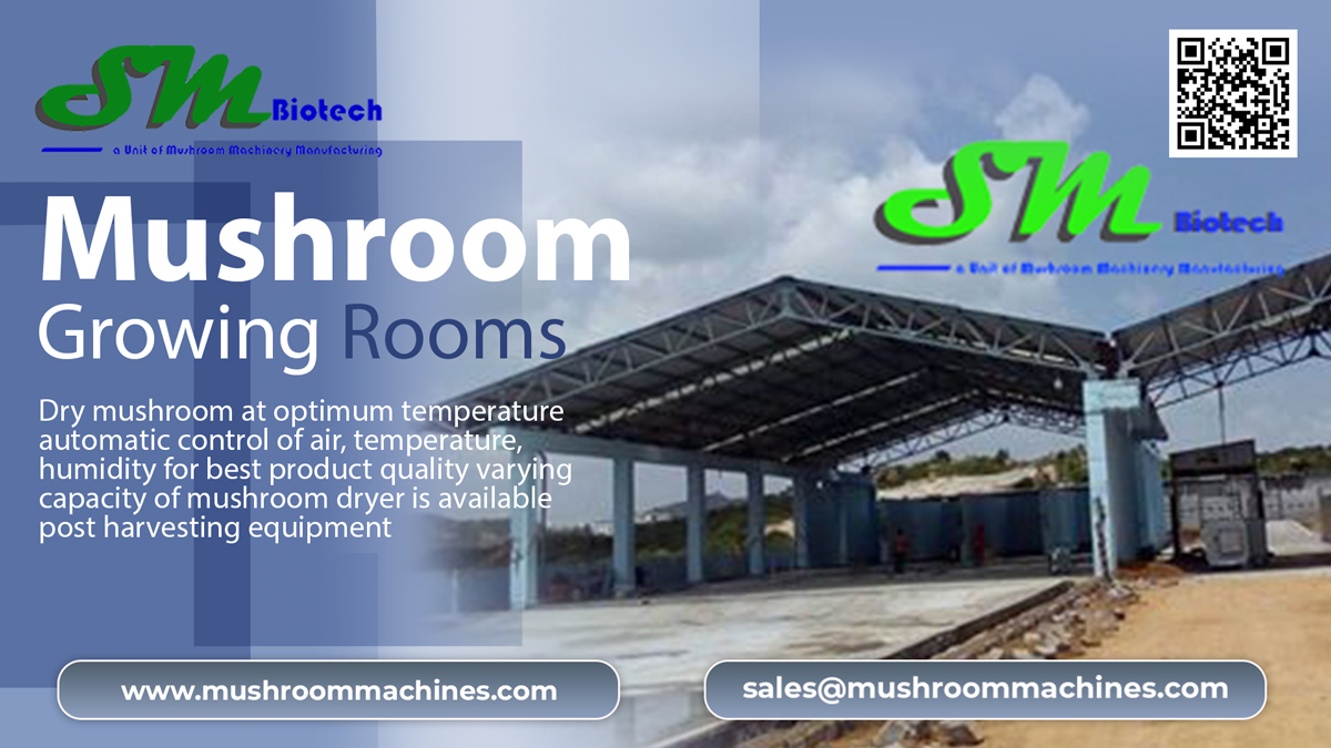 rawatgeetanjal5's tweet image. Mushroom Machines Offering Complete Mushroom Growing Rooms - Plant Setup in India. Mushrooms require a specific balance of humidity, temperature, fresh air and light. Contact us 8171599292.
mushroommachines.com/mushroom-growi…
#MushroomGrowingRooms
#CompostTurner
#ShedConstruction
#Mushroom