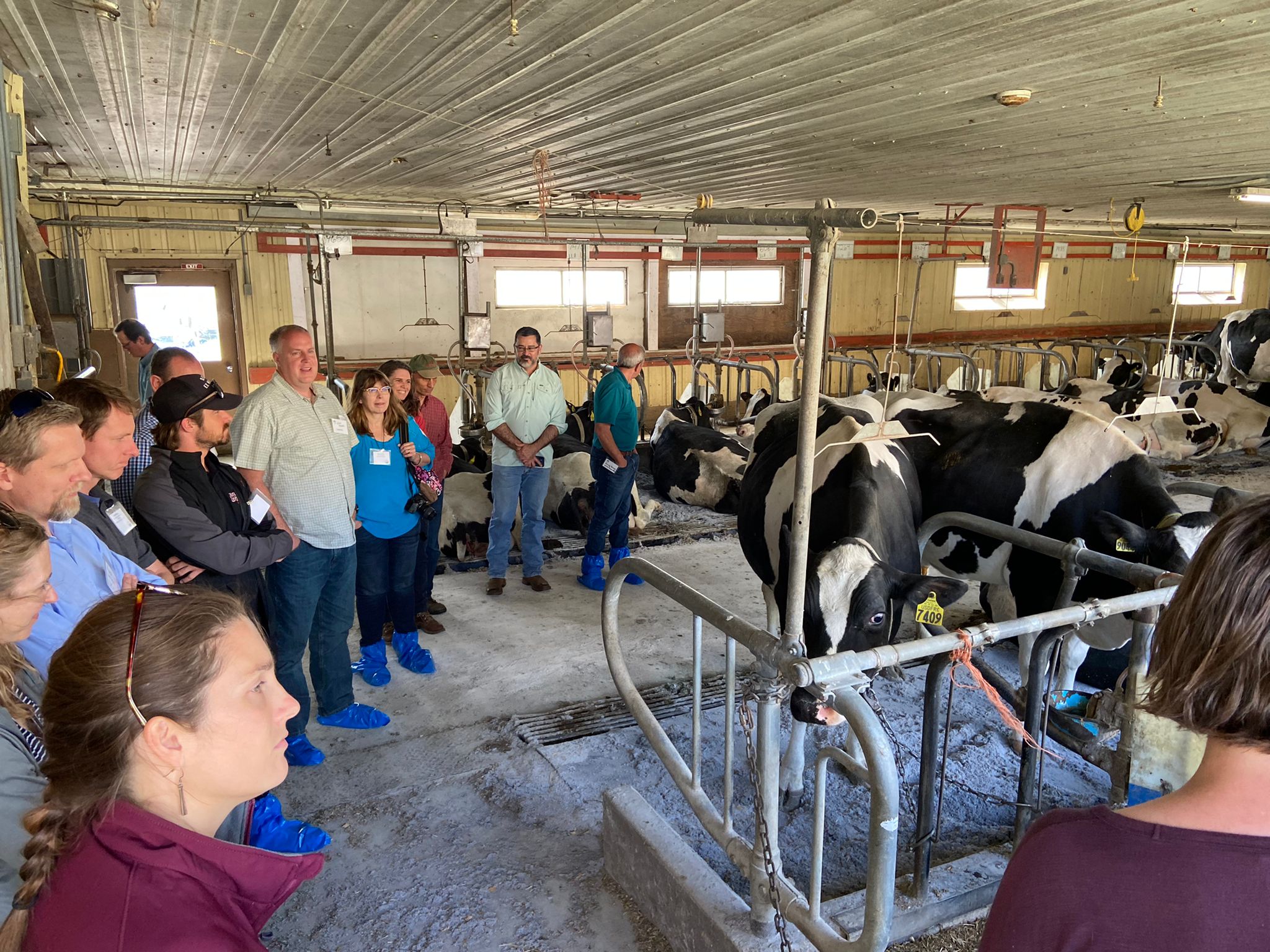 SAI Platform on Twitter "📣 SAI Platform's Dairy Working Group is