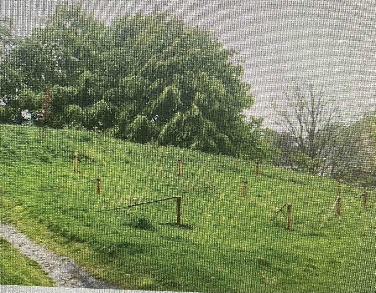 PSOSNorthEFife's tweet photo. Young trees have been deliberately broken and young saplings damaged at Moathill, Cupar. Police are appealing for information- please contact 101 and quote PS-20220516-2388. Local Community Officers PCs Shand & Ferguson are investigating. #opprevail #lookafteryourcommunity https://t.co/eey5NNriHm