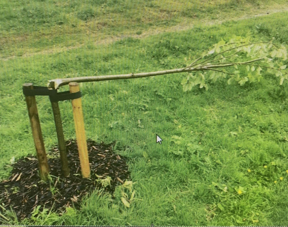 PSOSNorthEFife's tweet photo. Young trees have been deliberately broken and young saplings damaged at Moathill, Cupar. Police are appealing for information- please contact 101 and quote PS-20220516-2388. Local Community Officers PCs Shand & Ferguson are investigating. #opprevail #lookafteryourcommunity https://t.co/eey5NNriHm