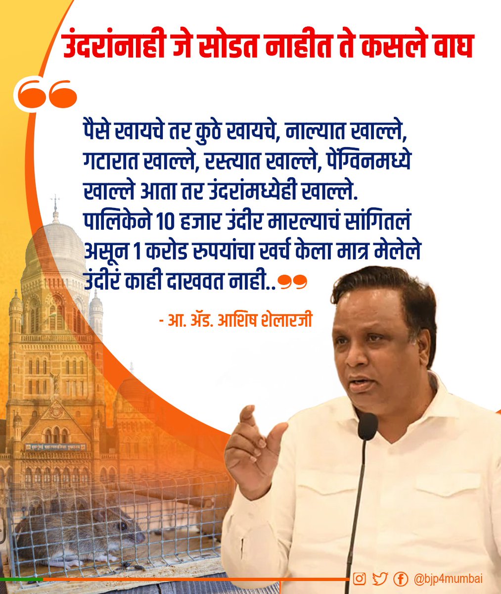 BJP4Mumbai's tweet photo. उंदरांनाही जे सोडत नाहीत ते कसले वाघ ? 

पैसे खायचे तर कुठे खायचे,नाल्यात खाल्ले, गटारात खाल्ले,रस्त्यात खाल्ले,पेंग्विनमध्ये खाल्ले आता तर उंदरांमध्येही खाल्ले.पालिकेने 10 हजार उंदीर मारण्यावर 1 करोड रुपयांचा खर्च केला मात्र मेलेले उंदीरं काही दाखवत नाहीत

- आ.ॲड. @ShelarAshish https://t.co/oYw6Uq7VQ7