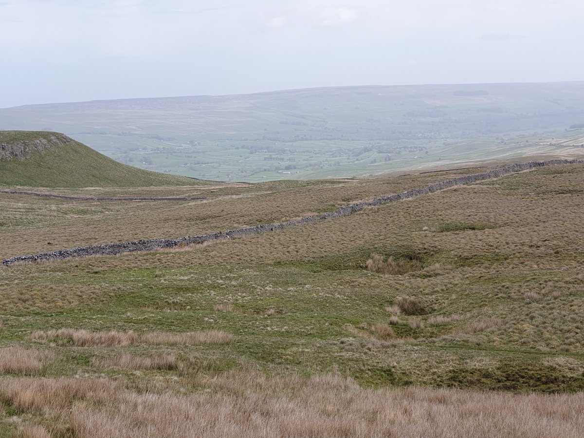 RibblesdaleC's tweet photo. Good morning Tuesday and to everyone. Weekend walk up past #Burtersett shown here, a small & pretty village to the east of #Hawes #YorkshireDales and up on to the #RomanRd with magnificent views over the fells and a lot of old stone walls.
Have a terrific Tuesday! https://t.co/rF52gH9ygI