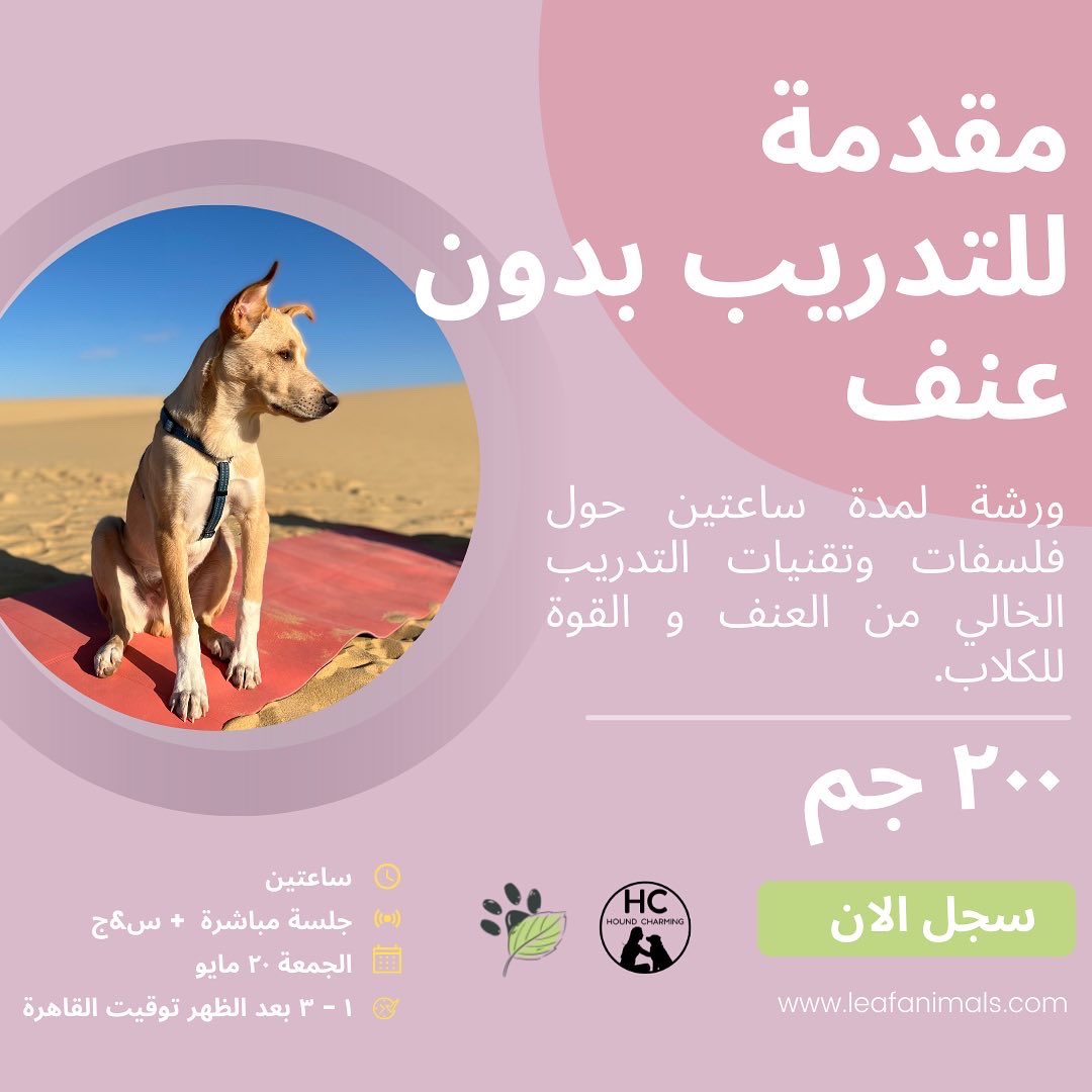LeafAnimals's tweet photo. فاضل ٣ ايام على ورشة التدريب بدون عنف. احجزوا بسرعة https://t.co/s97TxvsCf9 https://t.co/5ucGpSvDk2
