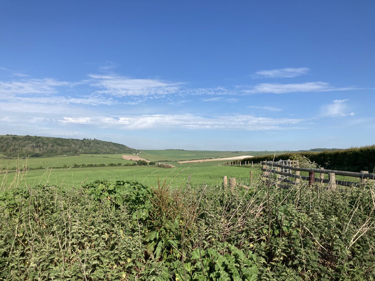 This morning’s office.