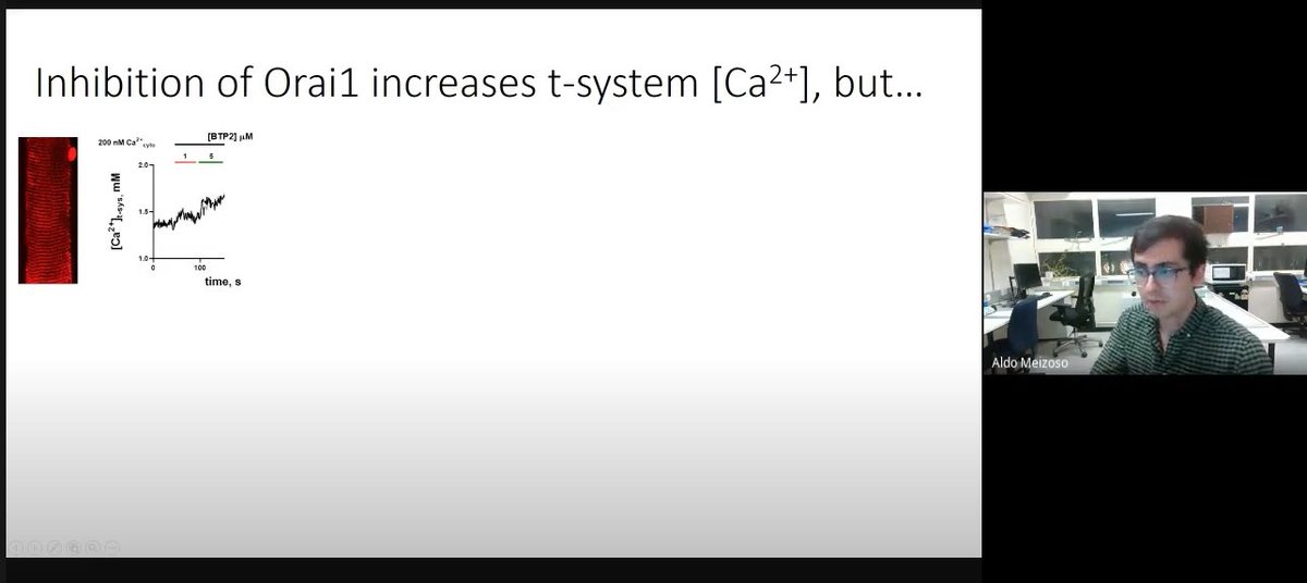 EuroCalcium's tweet photo. One of our presentation tips: It is not intuitive for the listener to decipher your figures and graphs. Spend time to introduce and explain them step-by-step. Nicely exemplified by @AldoMeizoso in this #ECSWebinar. #scicomm #jECSscicomm
See the talk here: https://t.co/pvVHZG7cBR https://t.co/1zvSaOSbXP