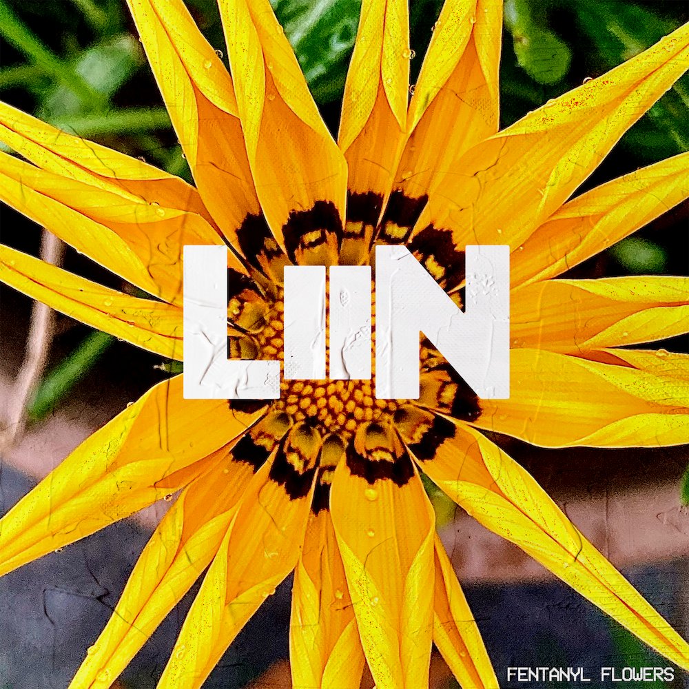 LiiNmusic's tweet photo. Our second album- Fentanyl Flowers -  is out on all platforms next Friday (27th). https://t.co/fs5IEuOuTv