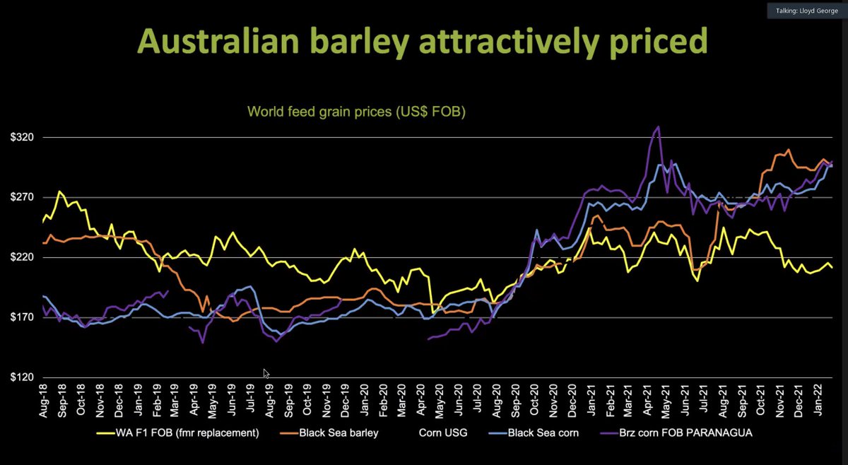 Mary_Raynes's tweet photo. Lloyd George Ag Scienta at the #AEGIC #ATMAC #maltingbarley webinar for #ethiopia indicates how the attractive Australian barley is priced against other world grain prices. #Barley prices have spiked and rallied like the rest of the world since the #Ukrainewar https://t.co/M2HteEZibd