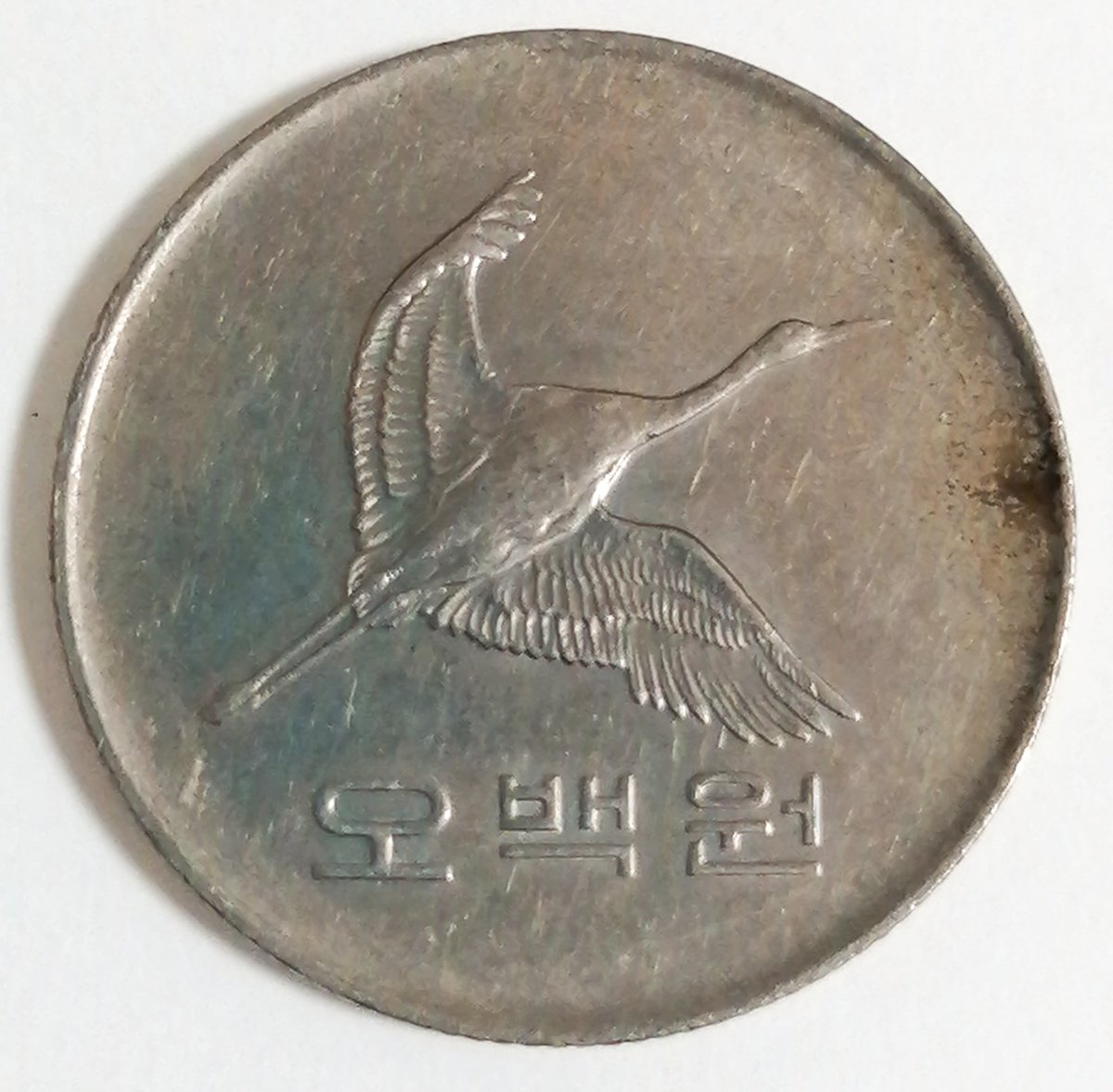 韓国500ウォン硬貨の裏と表🇰🇷 表面の鳥は鶴で、 ドゥルミとも呼ぶ