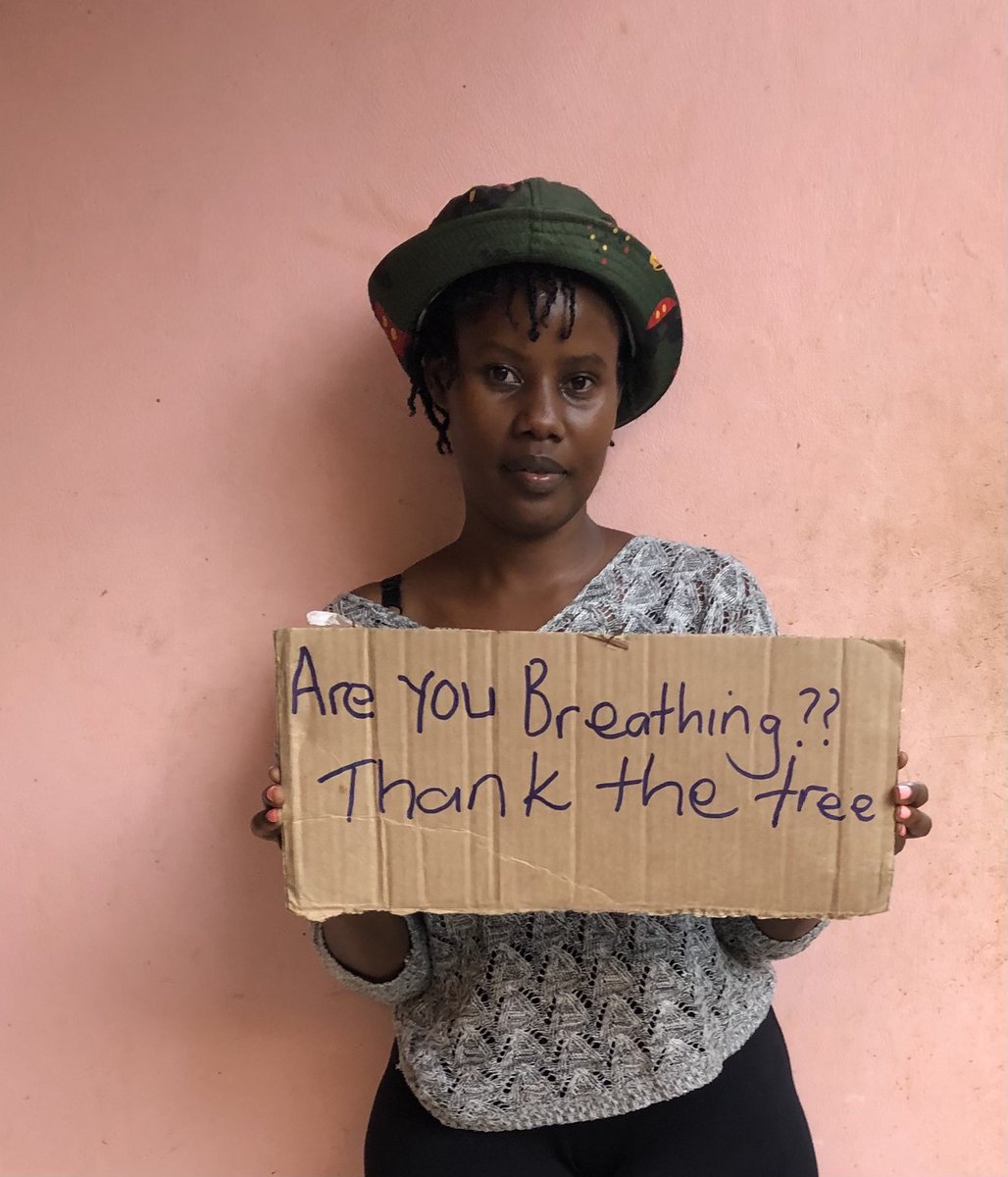 Are you Breathing?? Thank The tree 🌳 #ClimateActionNow <a href="/Riseupmovt/">Rise up Movement</a>