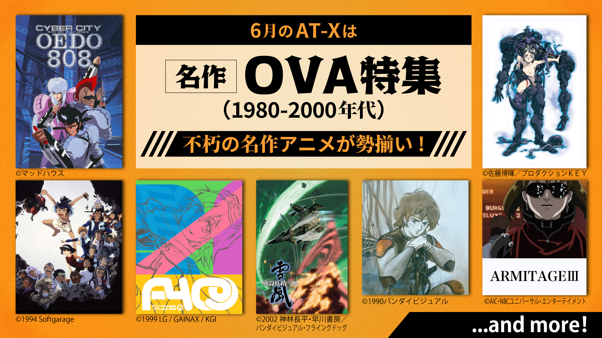 PC‐9800シリーズ ザ・プロテクト 井上 智博 【公式通販】