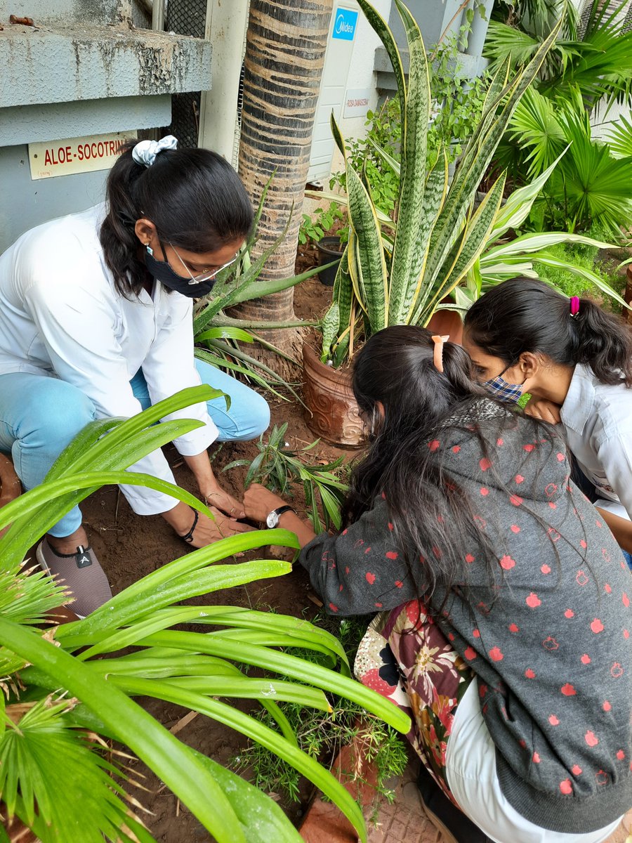 1MYACglobal's tweet photo. 🤔How to combine #climateaction, #airpollution management and #biodiversity #conservation in one go?
✊ Dr. Dave & 15 of her students completed this challenge with their 🌳#reforestation actions, being awarded the #1MYAC April 🗓#ActionOfTheMonth.
📖 👉https://t.co/CIgmaI41Gv https://t.co/sELTIywOWE