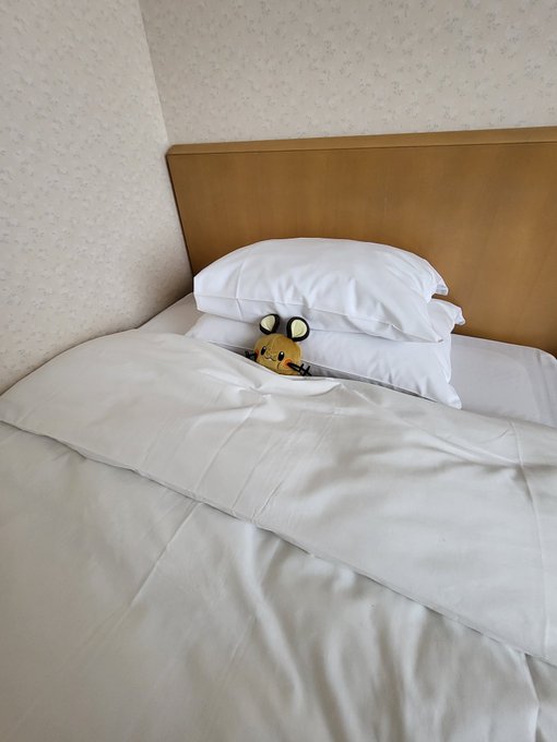 「bed sheet pokemon (creature)」 illustration images(Latest)