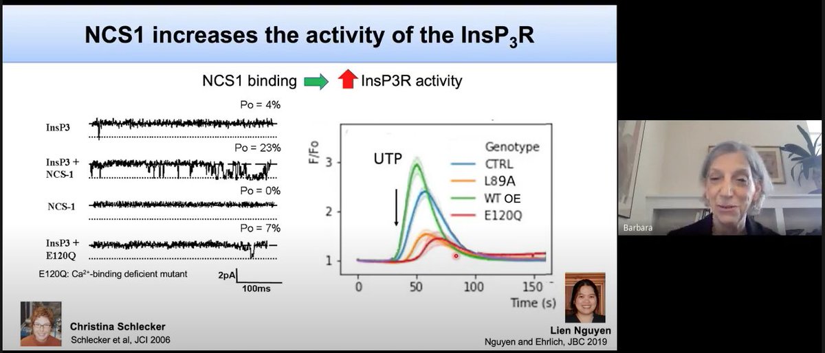 EuroCalcium's tweet photo. Making memorable presentations: Smile!🤠 Be excited about your work! Explain why you think your findings are exciting - then the audience will be excited too.
Nicely exemplified in this #ECSwebinar by Barbara Ehrlich:https://t.co/ZG7g68l8qE
#scicomm #jECSscicomm https://t.co/4XFfneomZ8