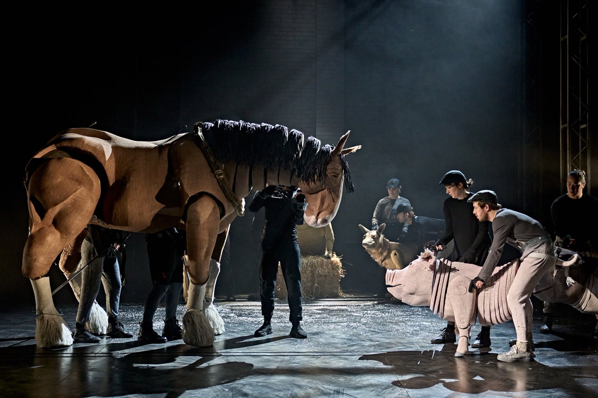 The wonderful spectacle that is <a href="/animalfarmstage/">Animal Farm On Stage</a> comes to the <a href="/WolvesGrand/">Wolverhampton Grand</a> tonight and the animals stay all week. Not to be missed. Midlands Arts Magazine will be joining them tonight.