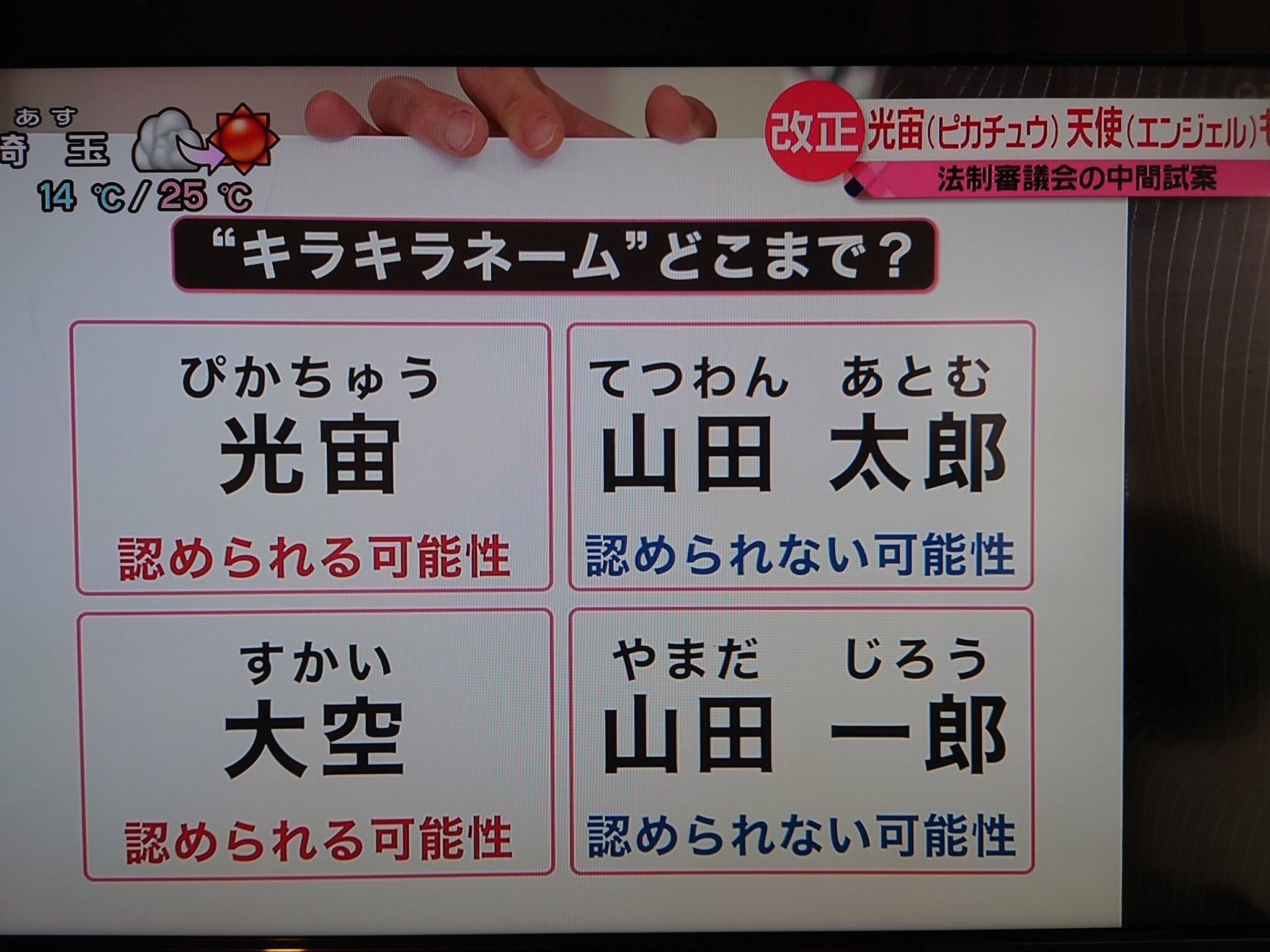 ぐれこ ちょっと待ってください ピカチュウなんて名前の人間の子供がいるんですか 戸籍法改正 キラキラネーム T Co Cilqxlkkl4 Twitter