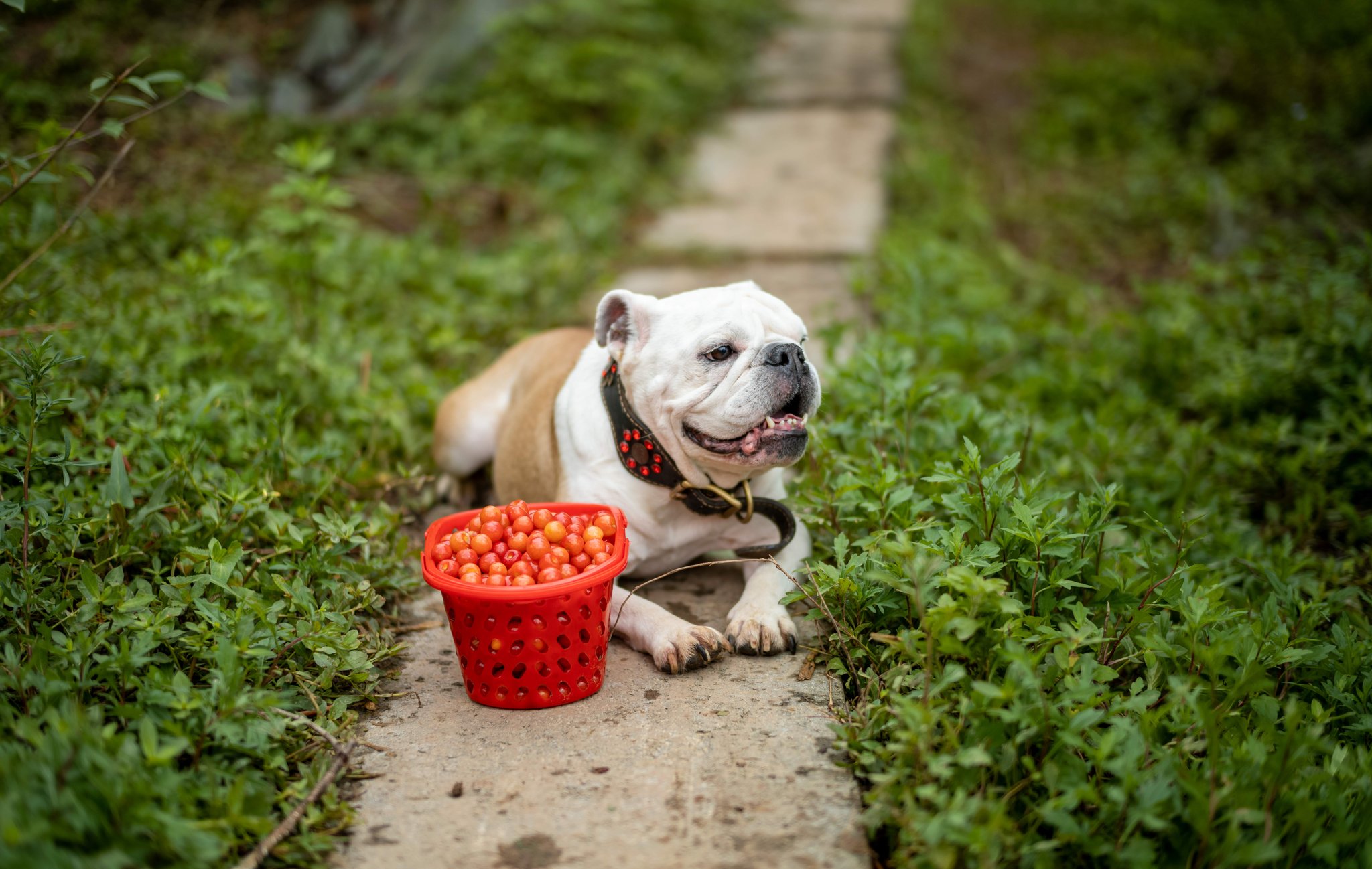 du-jiayu-dujiayu63058-twitter