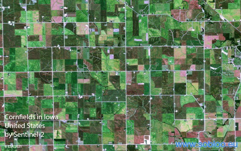 soblooservices's tweet photo. The Corn Belt area traditionally runs through Midwestern United States covering Indiana, Illinois, Iowa, Missouri, eastern Nebraska, and eastern Kansas, in which corn and soybeans are the dominant crops accounting for 50% of US production. Sentinel-2 👉🏻 https://t.co/RCu2qxqrqu https://t.co/2HSXjngVyI