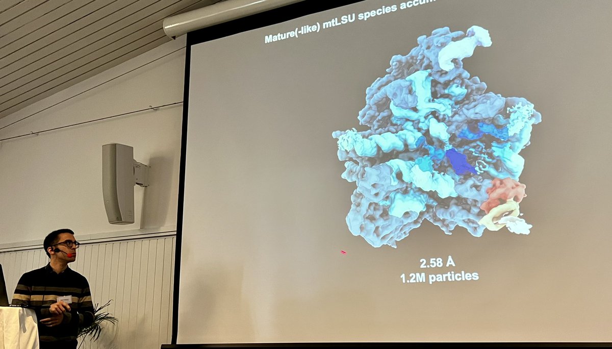 Minczuk Lab (@mito_gene) on Twitter photo Enjoying <a href="/GuiomarPedro/">Pedro Rebelo-Guiomar</a> ās presentation during #EMBOmitochondria2022 in Bro - an in-person (!) conference focussed on mito. gene expression - meetings.embo.org/event/22-mitoc⦠<a href="/Ott_MitoLab/">The Martin Ott lab</a> <a href="/mitopinionated/">Nils-Gƶran Larsson</a> <a href="/MBU_postdocs/">MRC MBU Postdocs</a> <a href="/MRC_MBU/">MRC MBU</a> Enjoying <a href="/GuiomarPedro/">Pedro Rebelo-Guiomar</a> ās presentation during #EMBOmitochondria2022 in Bro - an in-person (!) conference focussed on mito. gene expression - meetings.embo.org/event/22-mitoc⦠<a href="/Ott_MitoLab/">The Martin Ott lab</a> <a href="/mitopinionated/">Nils-Gƶran Larsson</a> <a href="/MBU_postdocs/">MRC MBU Postdocs</a> <a href="/MRC_MBU/">MRC MBU</a>