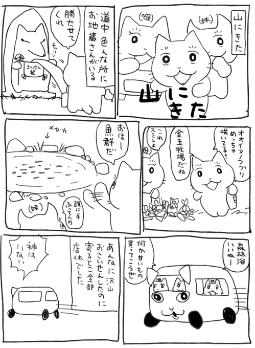 日記 山にきた 