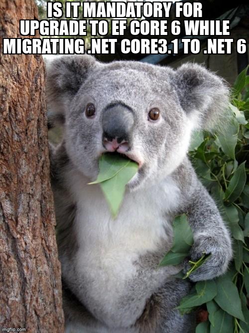 overflow_meme's tweet image. Is it mandatory for upgrade to EF Core 6 while migrating .NET Core3.1 to .NET 6 stackoverflow.com/questions/7226… #aspdotnetcore60 #aspdotnetcore31 #efcore22 #efcore60