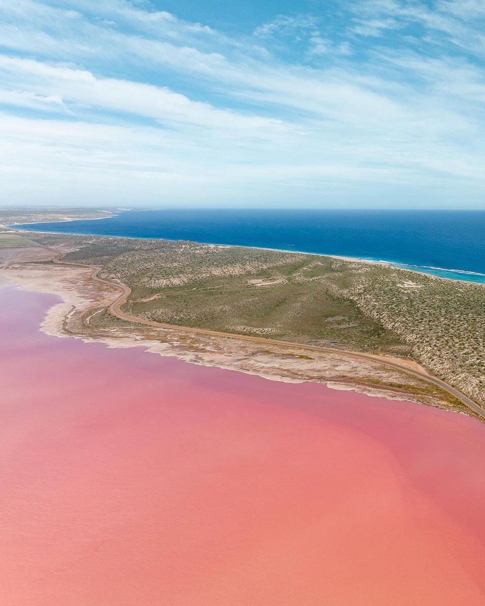 Western Australia tweet media