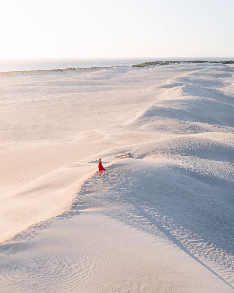 Western Australia tweet media