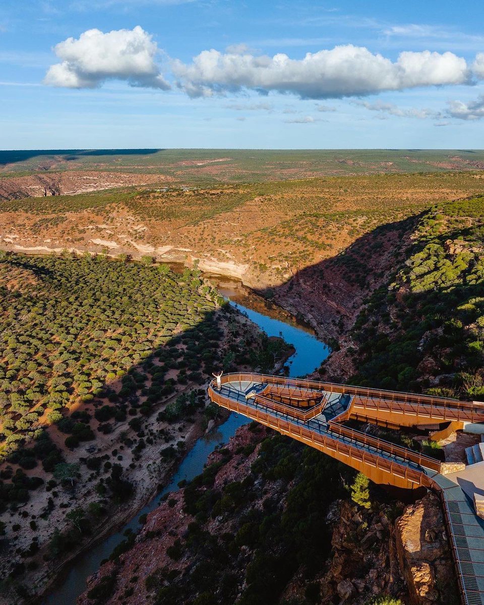 Western Australia tweet media