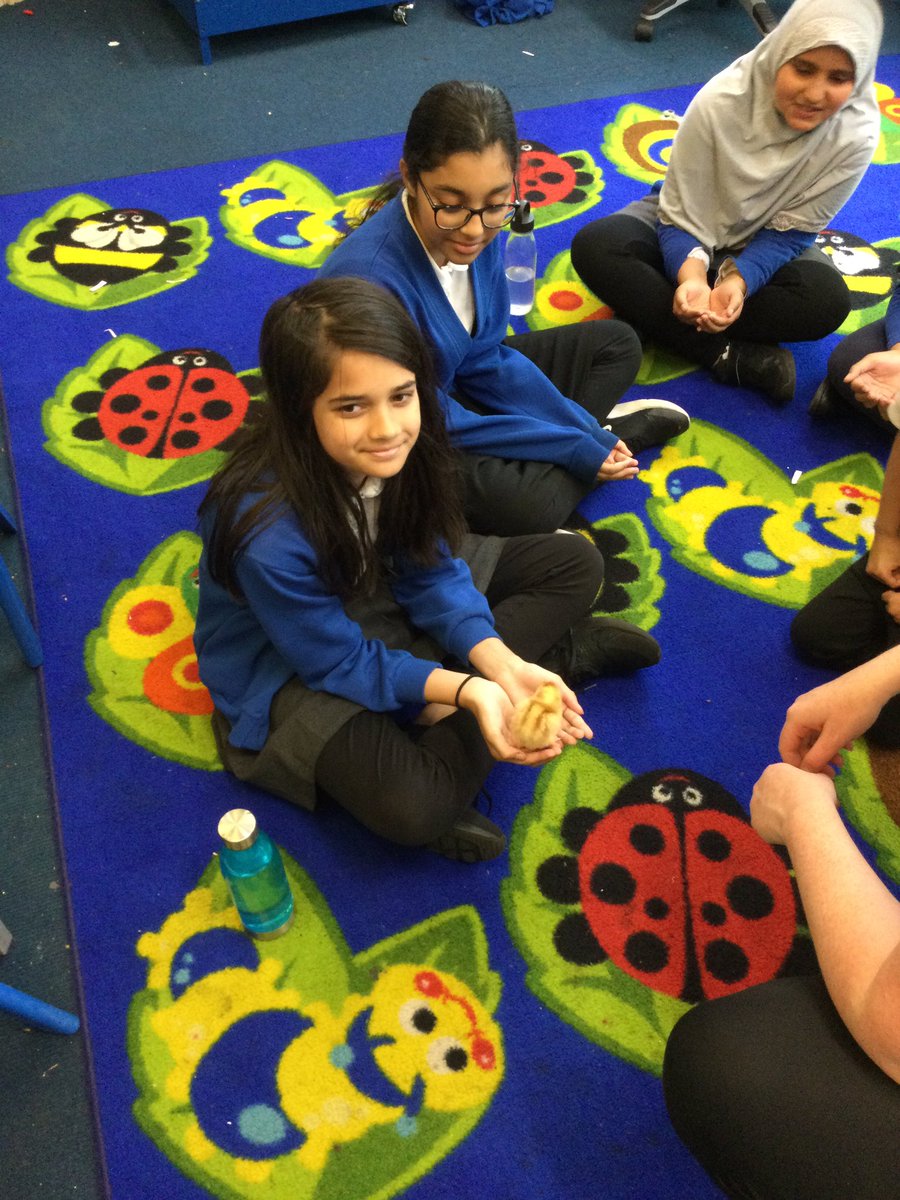 Cyril Jackson Reception tweet media