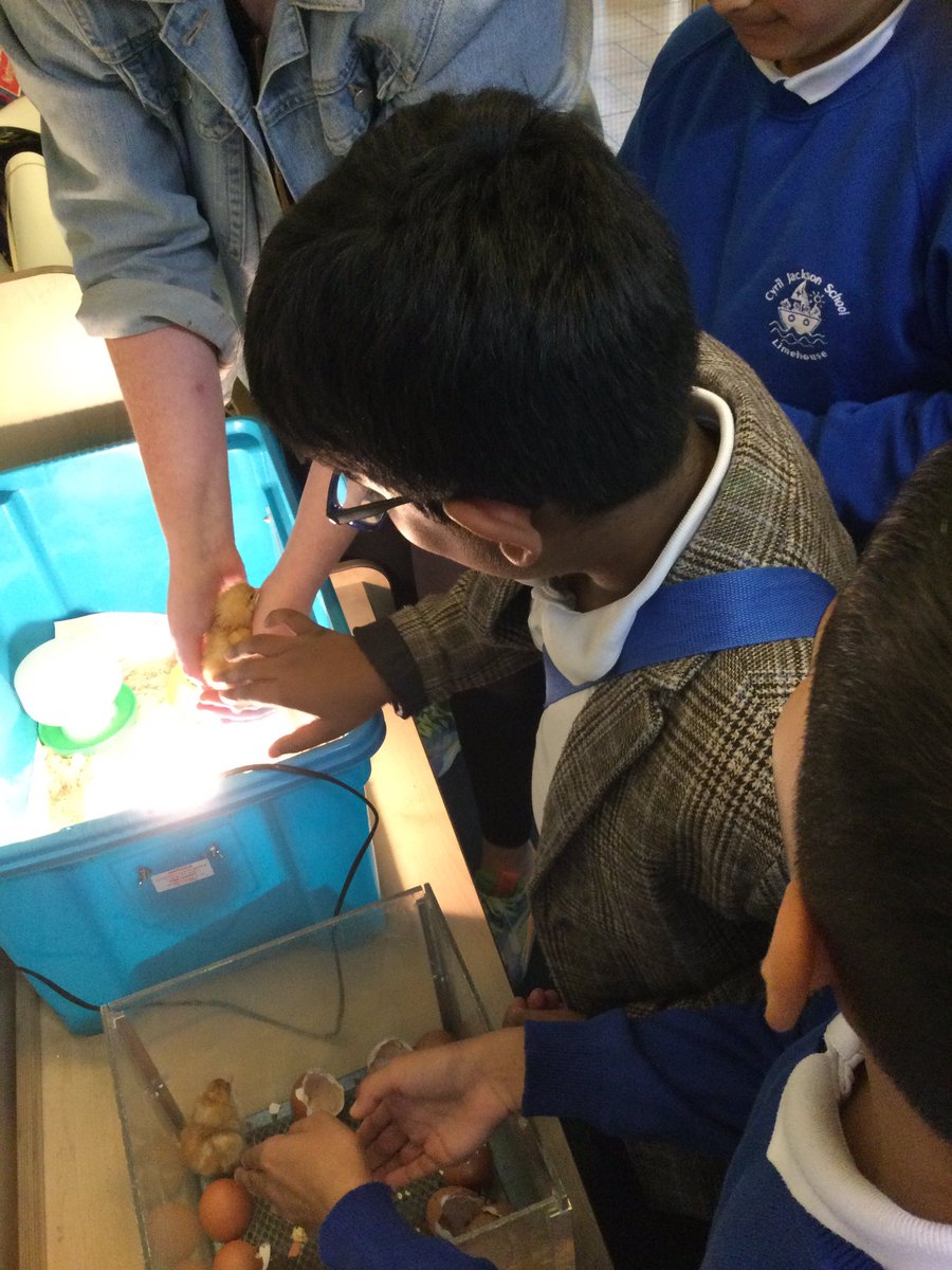 Cyril Jackson Reception tweet media