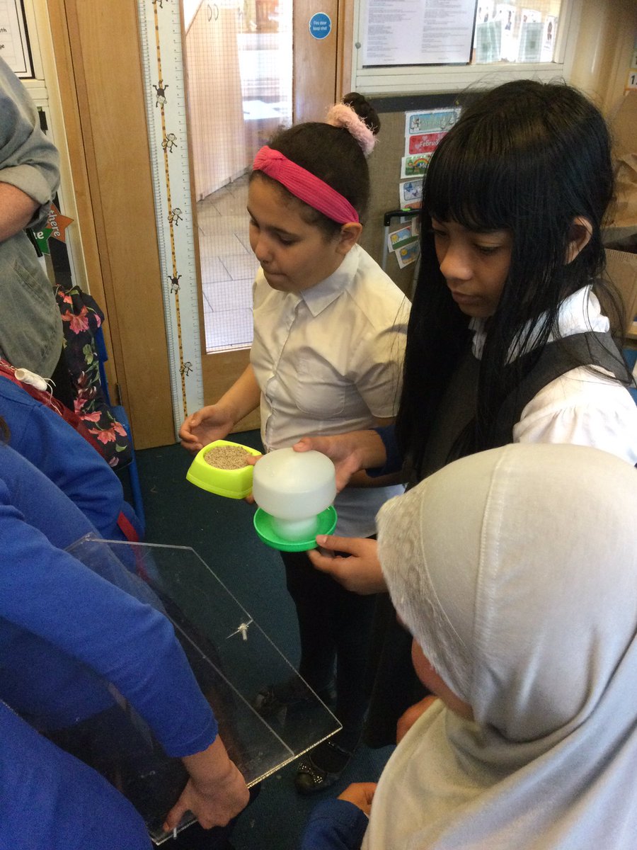 Cyril Jackson Reception tweet media