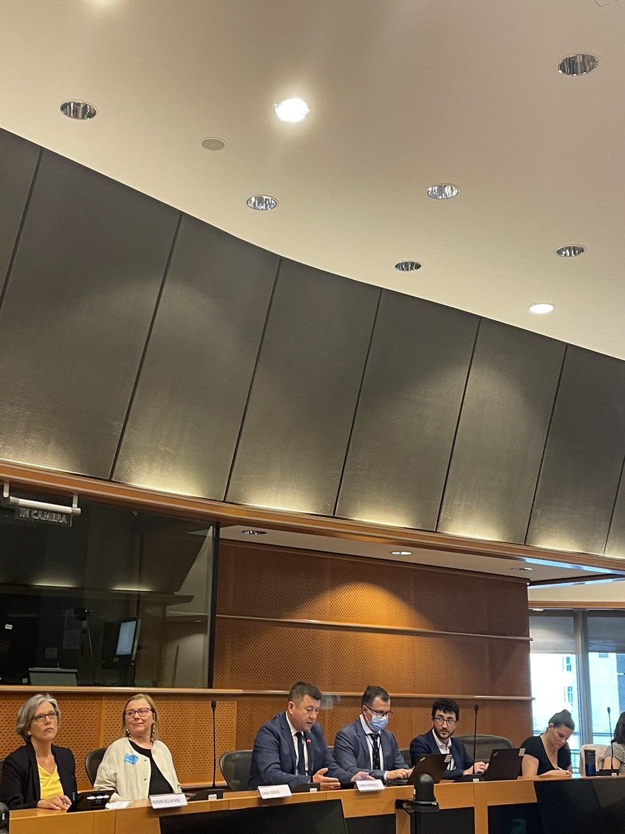 fer_lur's tweet photo. Lifelong learning interest group meeting @Europarl_EN @EAEA2020 👉🏻@borbolycsaba from @EU_CoR “local and regional authorities have important role in lifelong learning, education as the gov closest to citizens” https://t.co/ba0zLXdevS