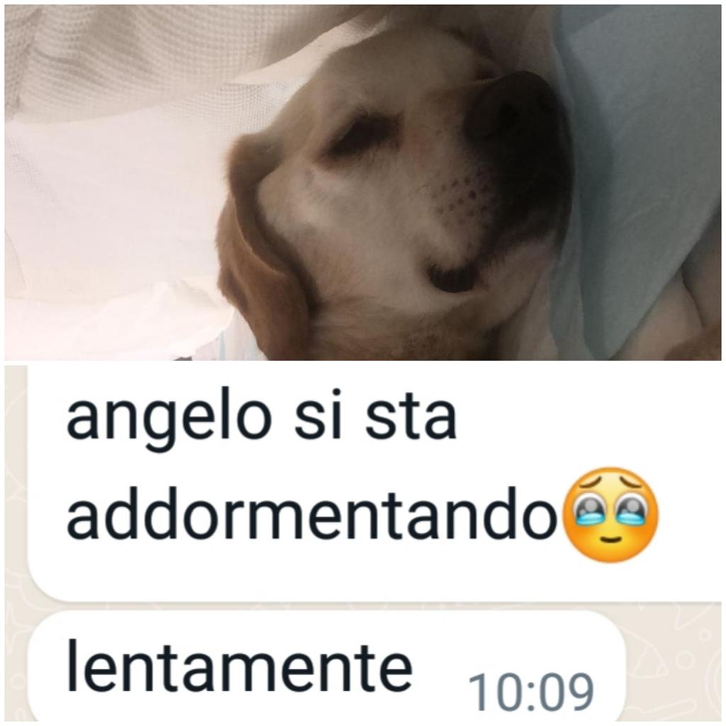 Emilystellaemi2 tweet media